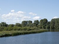 NL, Noord-Brabant, Drimmelen, Gat van de Vloeien 39, Saxifraga-Willem van Kruijsbergen