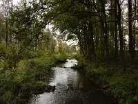 NL, Noord-Brabant, Eindhoven, Tongelreep 3, Saxifraga-Foto Fitis-Sytske Dijksen