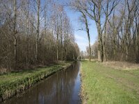 NL, Noord-Brabant, Meierijstad, Wijboschbroek 10, Saxifraga-Willem van Kruijsbergen