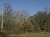 NL, Noord-Brabant, Oirschot, Heerenbeek 20, Saxifraga-Jan van der Straaten