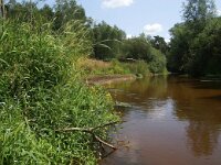 NL, Overijssel, Dinkelland, Dinkel 3, Saxifraga-Foto Fitis-Sytske Dijksen