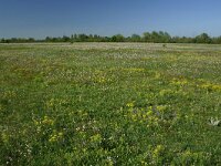 F, Allier, Agonges 26, Saxifraga-Dirk Hilbers