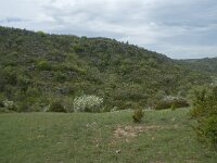 F, Aveyron, Lapanouse-de-Cernon 6, Saxifraga-Willem van Kruijsbergen