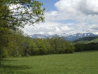 F, Isere, Saint-Guillaume, Plan de Grisail 2, Saxifraga-Jan van der Straaten