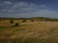 F, Lozere, Causse Mejean 2, Saxifraga-Dirk Hilbers