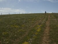 F, Lozere, Hures-la-Parade 4, Saxifraga-Marijke Verhagen