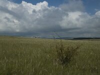 F, Lozere, Hures-la-Parade 8, Saxifraga-Jan van der Straaten