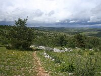 F, Lozere, Hures-la-Parade, Le-Buffre 15, Saxifraga-Dirk Hilbers