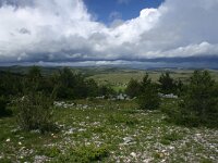 F, Lozere, Hures-la-Parade, Le-Buffre 7, Saxifraga-Dirk Hilbers