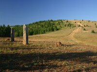 F, Lozere, Les Bondons 10, Saxifraga-Dirk Hilbers