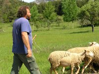 F, Var, Canjuers 8, Saxifraga-Hans Dekker