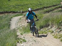 I, Brescia, Ponte di Legno, Passo Tonale 1, Saxifraga-Hans Dekker