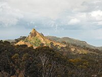 I, Caltanissetta, Mazzarino, Monte Formaggio 2, Saxifraga-Hans Dekker