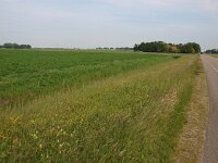 NL, Flevoland, Noordoostpolder, Marknesse 2, Saxifraga-Hans Dekker