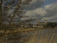 NL, Noord-Brabant, ´s-Hertogenbosch, Bossche Broek 37, Saxifraga-Jan van der Straaten