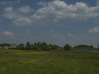 NL, Noord-Brabant, Boxmeer, De Vilt 4, Saxifraga-Jan van der Straaten