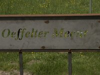 NL, Noord-Brabant, Boxmeer, Oeffelter Meent 23, Saxifraga-Jan van der Straaten