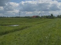 NL, Noord-Brabant, Drimmelen, Polder Kwestieus 1, Saxifrraga-Jan van der Straaten