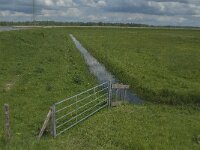 NL, Noord-Brabant, Drimmelen, Polder Kwestieus 2, Saxifrraga-Jan van der Straaten