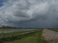 NL, Noord-Brabant, Lith, Marense eendenkooi 9, Saxifraga-Jan van der Straaten