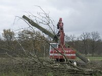 NL, Noord-Brabant, Valkenswaard, Pelterheggen 33, Saxifraga-Jan van der Straaten