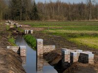 NL, Noord-Brabant, Valkenswaard, Pelterheggen 48, Saxifraga-Jan van der Straaten