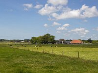 Typical rural landscape of southwestern part of Dutch province Friesland  Typical rural landscape of southwestern part of Dutch province Friesland : agricultural, agriculture, cloudscape, europe, european, farmland, grass, grassland, Holland, landscape, meadow, pasture, room, rural, sky, skyscape, field, no people, nobody, outdoors, outside, farm
