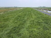 Green dike along Lake IJssel near Dutch city Hindeloopen  Green dike along Lake IJssel near Dutch city Hindeloopen : dike, ditch, Europe, European, Friesland, Dutch, Fryslan, grass, grassy, Hindeloopen, Holland, horizon, horizon over land, Hylpen, ijsselmeer, lake ijssel, Netherlands, no people, nobody, non-urban landscape, outdoors, outside, road, rural landscape, rural scene, straight, street