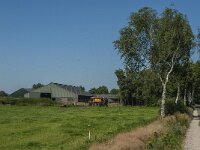 NL, Noord-Brabant, Asten, Kokmeeuwen weg 2, Saxifraga-Marijke Verhagen