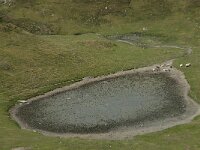 F, Ariege, Seix, Port d Aula 27, Saxifraga-Willem van Kruijsbergen