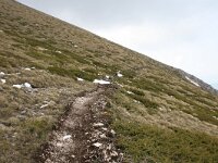 GR, Drama, Drama, Falakro Oros 11, Saxifraga-Dirk Hilbers