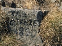 I, Pistoia, Abetone, Alpe Tre Potenze 3, Saxifraga-Jan van der Straaten