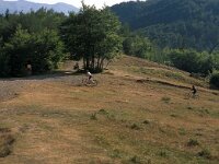 I, Pistoia, Abetone, La Verginetta 7, Saxifraga-Jan van der Straaten