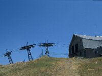 I, Pistoia, Abetone, Mt Gomito 2, Saxifraga-Jan van der Straaten