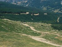 I, Pistoia, Abetone, Mt Gomito 3, Saxifraga-Jan van der Straaten