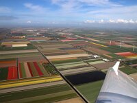 NL, Noord-Holland, Hollands Kroon 2, Saxifraga-Foto Fitis-Sytske Dijksen