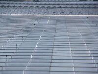 NL, Zuid-Holland, Westland, 's-Gravenzande 4, Saxifraga-Foto Fitis-Sytske Dijksen