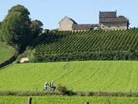 NL, Limburg, Maastricht, Apostelhoeve 1, Saxifraga-Foto Fitis-Sytske Dijksen
