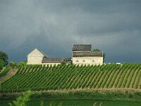 NL, Limburg, Maastricht, Jekerdal 3, Saxifraga-Foto Fitis-Sytske Dijksen