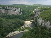 F, Ardeche, Vans, Bois de Paiolive 4, Saxifraga-Dirk Hilbers