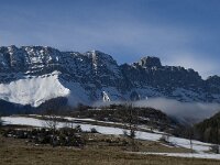 F, Isere, Gresse-en-Vercors, Balcon Est 20, Saxifraga-Jan van der Straaten