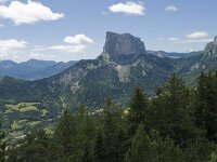 F, Isere, Gresse-en-Vercors, Mont Aiguille 43, Saxifraga-Willem van Kruijsbergen