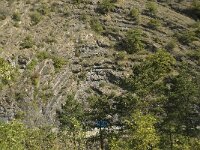 F, Isere, Valbonnais 1, Saxifraga-Jan van der Straaten