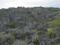 F, Lozere, Fraissinet-de-Fourques, Nimes-le-Vieux 49, Saxifraga-Willem van Kruijsbergen