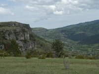 F, Lozere, Gatuzieres, Aures 1, Saxifraga-Willem van Kruijsbergen