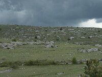 F, Lozere, Hures-la-Parade, Hures 1, Saxifraga-Willem van Kruijsbergen