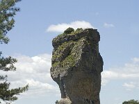 F, Lozere, Le Rozier 2, Saxifraga-Marijke Verhagen