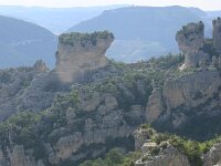 F, Lozere, Le Rozier 45, Saxifraga-Dirk Hilbers