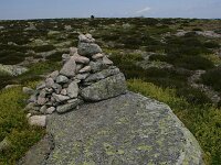 F, Lozere, Pont-de-Montvert-Sud-Mont-Lozère, Pic de Finiels 24, Saxifraga-Dirk Hilbers