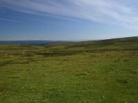 F, Lozere, Pont-de-Montvert-Sud-Mont-Lozère, Pic de Finiels 32, Saxifraga-Dirk Hilbers